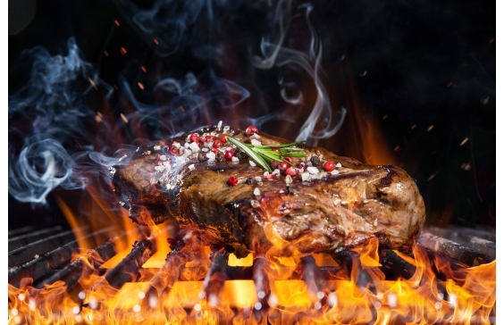 Wood and Charcoal Ovens